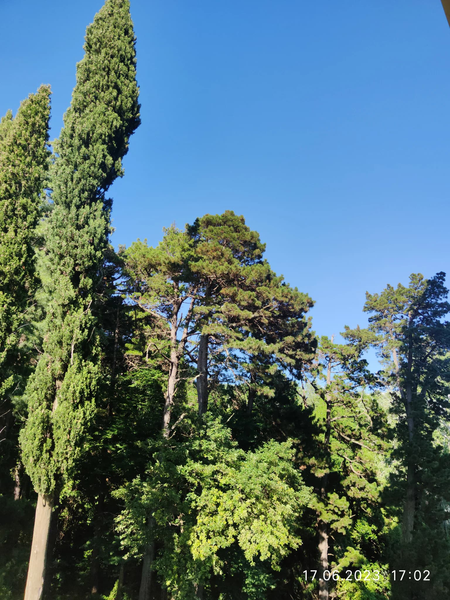 Уютная квартира на Курортном проспекте 2