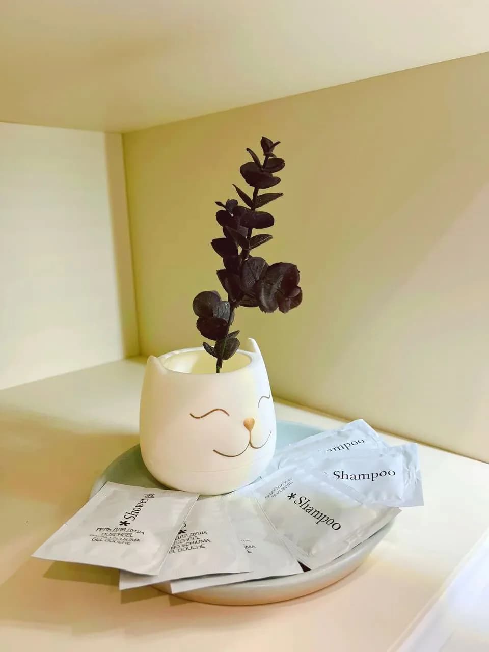 Снять на сутки евродвушку в Севастополе у моря (Маячная 3) 0