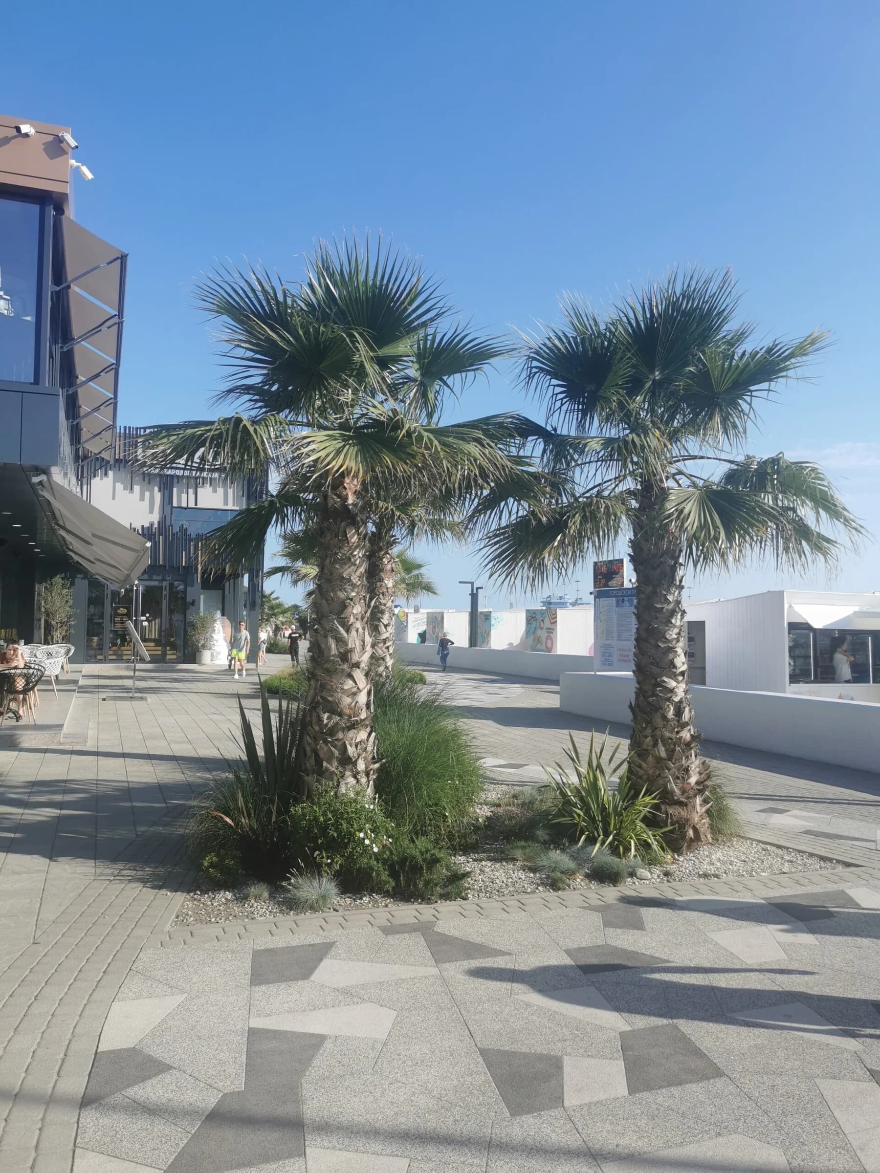 Аппартаменты в Сочи 1