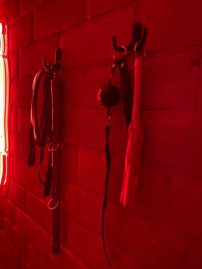 Снять тематическую студию «50 оттенков» в центре Челябинска посуточно 3